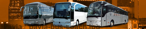 Coach (Autobus) Pavía | hire